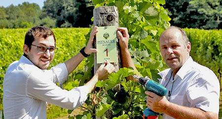 Pitnauers befestigen ein Eremit Weingartenschild