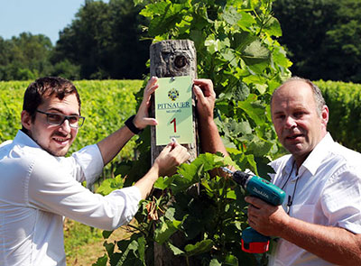 Pitnauer´s befestigen ein Weingartenschild von Eremit Display